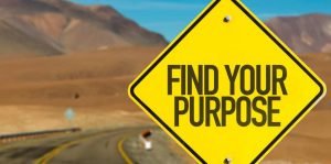 discover and pursue purpose